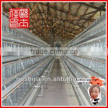 chicken egg layer cages(manufactory)