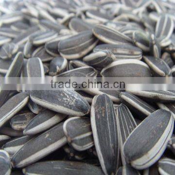 sunflower seeds 5009 2015 new crop