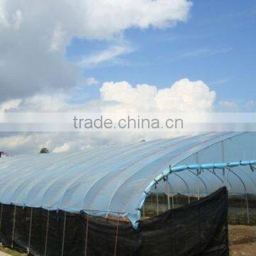 Greenhouse Film for Vegetable in Agricultural Products photo-4