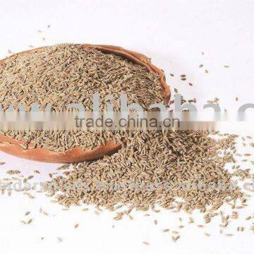 Cumin Jeera Seeds