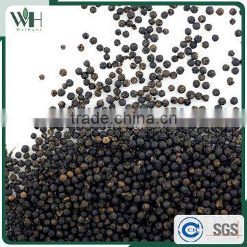 Vietnam Organic Black Pepper Pgi-570 With International Price photo-2