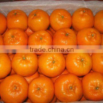 Fresh Ponkam Orange