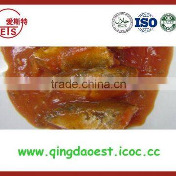 grade A canned fish mackerel in tomato sauce from china