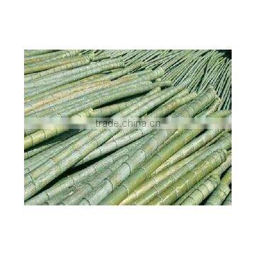 Construction Building Material Bamboo photo-2