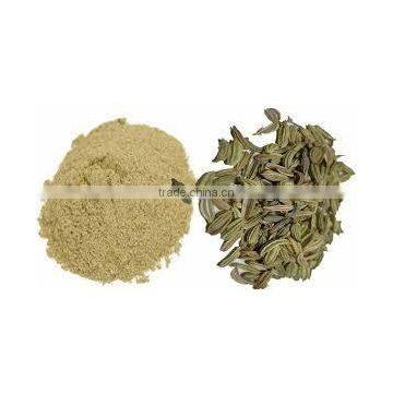 Fennel Ground photo-4