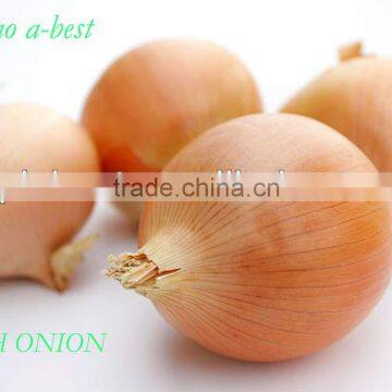 Shandong origin fresh onions for sale