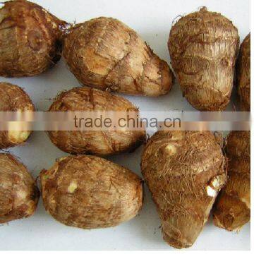 Competitive Price Well taste Fresh Taro