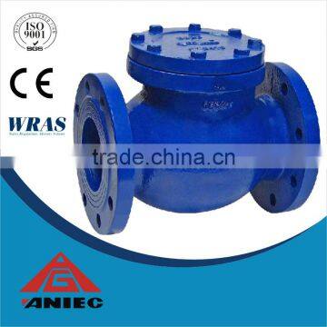 Swing check valve cast iron/ductile iron body.