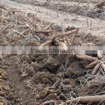 High Efficient Cassava Harvester Machine on Slae photo-6