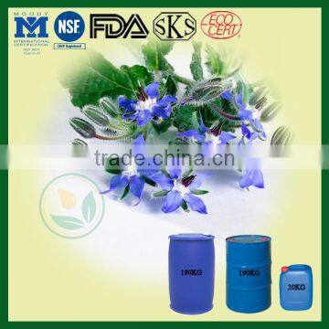 Healthcare Food Ingredient Borage Seed Oil