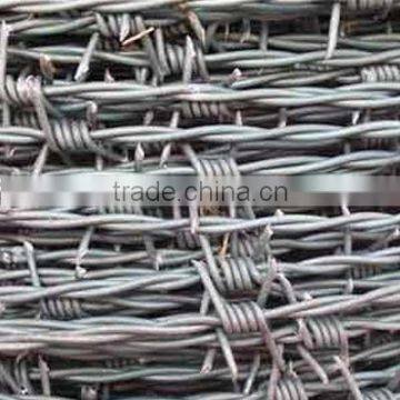 galvanized barbed wire