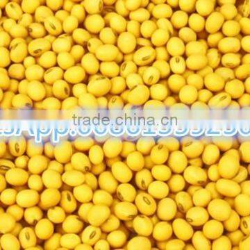 HIgh Capaty Corn Oil Press Machine / Cold Pressed Oil Machine
