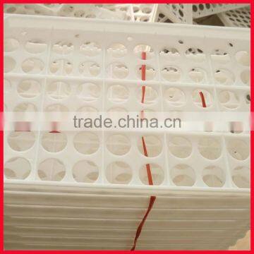 Hatching Eggs Plastic Egg Tray
