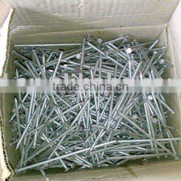 stainless steel coil nail