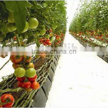 Plastic growing gutter for agriculture greenhouse used