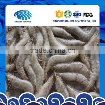 high quality frozen shrimp for sale with low price