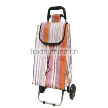 Folding Shopping trolley