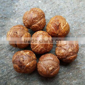 15 Beads Phoenix Eye Bodhi Seed Genuine Indonesian Buddha Chitta Mala Phrengba photo-6