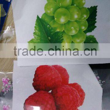 Jiabao Best Price PET Release Coating Film for Screen and Offset Printing photo-3