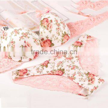 Hot Sexy Girls Lovely High School Bra Penty New Design photo-2