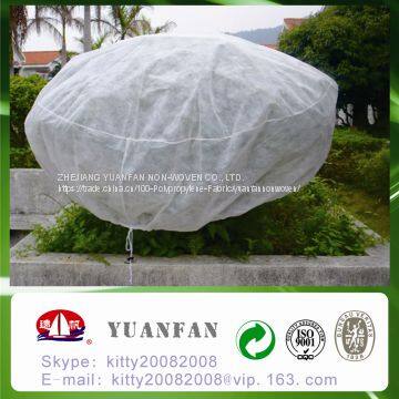 Customization Width and 15-100gsm,PP Non-woven,100% Polypropylene Material Tomato Plant Protective Cover photo-4