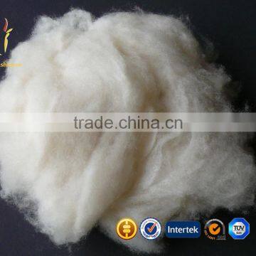 Pure Comded Mongolian Raw Sheep Cashmere Wool Fiber For Sale