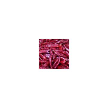 Sell Zidantou Chili