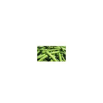 supply high quality Phaseolus Vulgaris