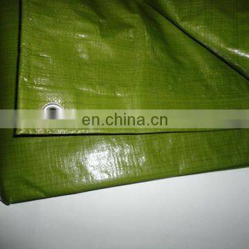 home or garden use canvas,pe fabric tarpaulin