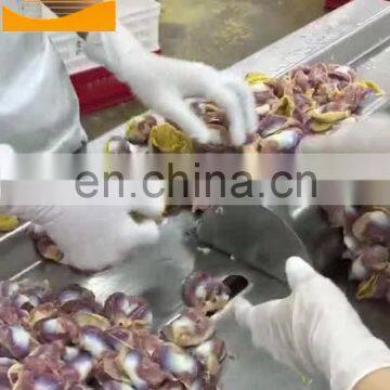 Double End Duck Chicken Gizzard Oil Skin Removing Peeling Machine