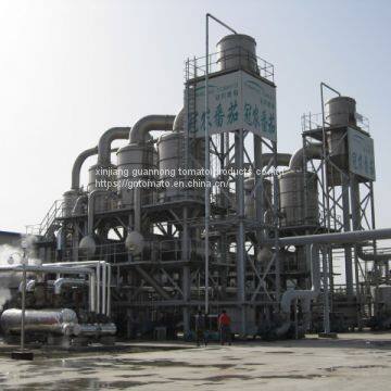 2019 Crop Tomato Paste photo-2