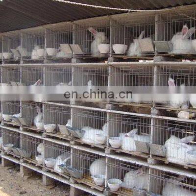 Durable Galvanized Wire Mesh Rabbit Cage photo-2