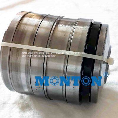 F-52548.T6AR Tandem Axial Bearings for Extruder Gearboxes photo-4