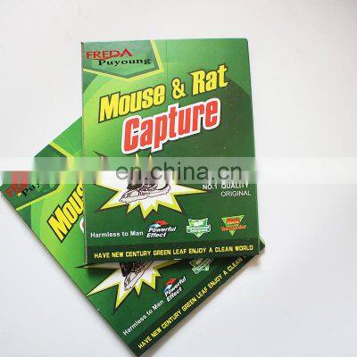 Non Poisonous Mouse & Rat Glue Snare Green Board Glue Trap for Rats