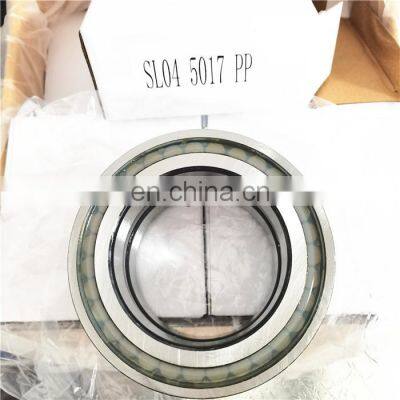 SL04 5022PP bearing SL045022-PP NR SL045022PPNR Full Complement Cylindrical Roller Bearing SL045022 SL04 5022 PP