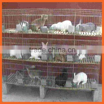 Bearing Cheap Galvanized Welded Farming Rabbit Cage Wire Mesh