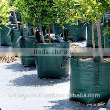 Nursery Grow Bags