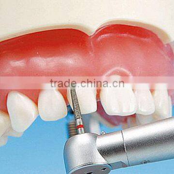 Low Price Good Quality Plastic Teeth Model Hot Sale Dental Material photo-3
