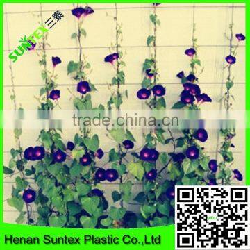 SUPER wire mesh back support for growing plants climbing plant support mesh