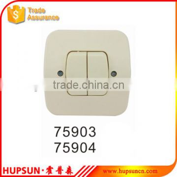 Hot sale 250V 10A 2W 1W European standard switch