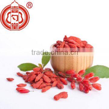 Ningxia the goji berry dried fruit wholesale distributor