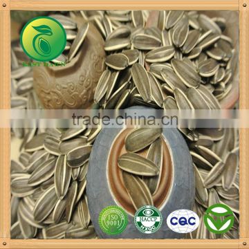 Organic Sunflower Seeds