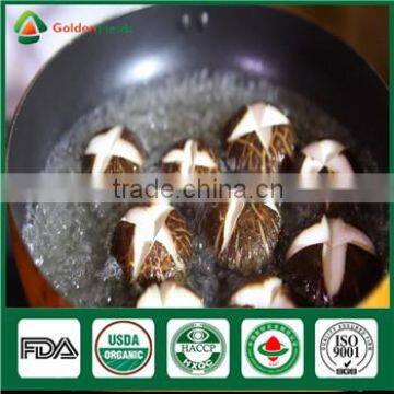 Wild and Cultivated Source and Whole Part Mushroom Spawn Growing Seed photo-4