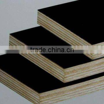Cedar Veneer Film Faced Plywood photo-6