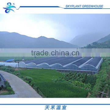 Hot Sale Plastic Film Greenhouse, Vegetables Greenhouse photo-5