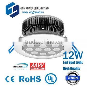 High Quaity 12W Shine Down Light, Ceiling Lamp Modern Eurpoe Standard