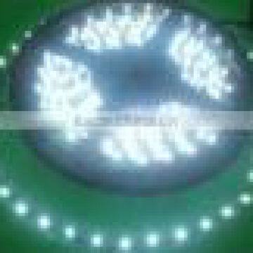 Waterproof flexible LED strip light,led smd strip,smd RGB flexible led strip