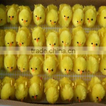 Display Package Easter Chicken