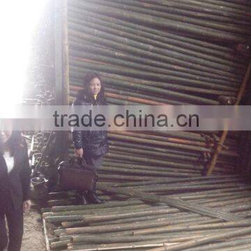 High Quality Vietnam Bamboo Pole with cheap Price