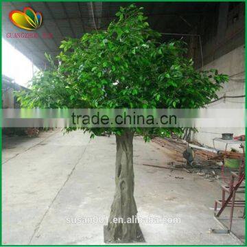 Good Quality and Price Artificial Ficus Tree Plastic Artificial Ficus Tree